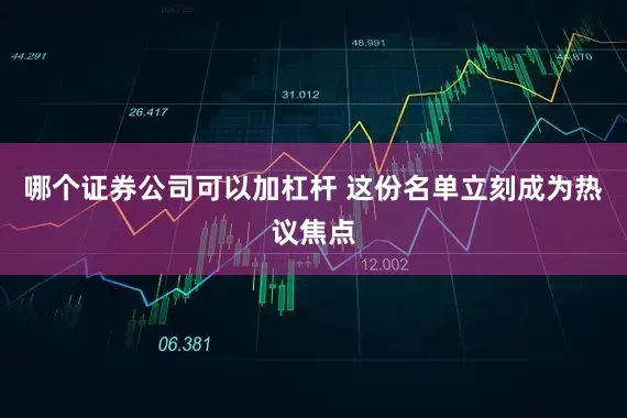 哪个证券公司可以加杠杆 这份名单立刻成为热议焦点