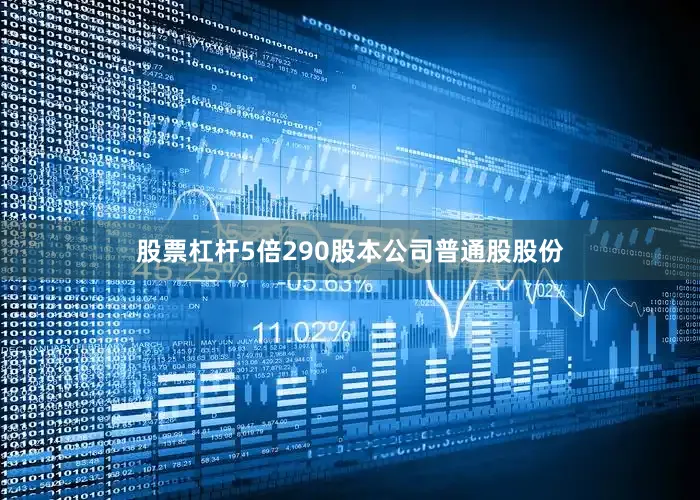 股票杠杆5倍290股本公司普通股股份