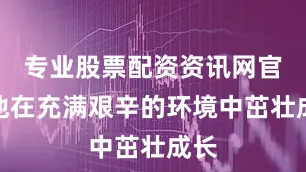 专业股票配资资讯网官网他在充满艰辛的环境中茁壮成长
